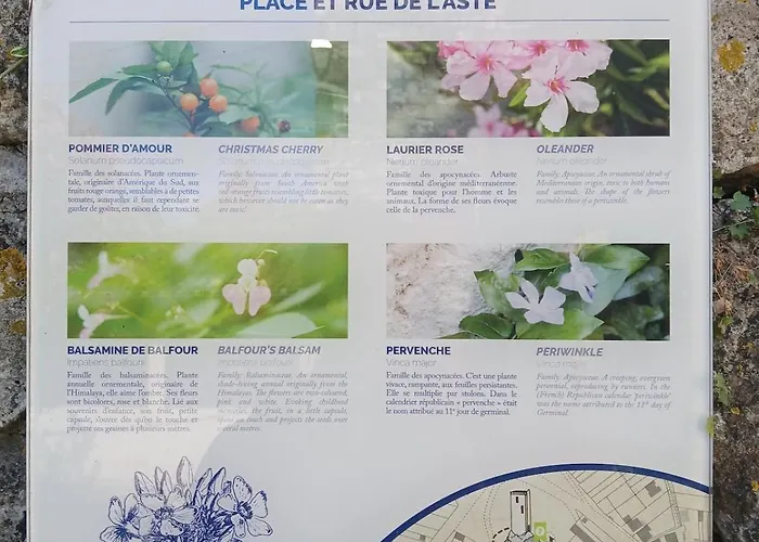 Maison Charlotte Vakantiehuis Montcuq